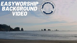 Easy Worship Background Video - Fallen Trees Beach - Pantai screenshot 4