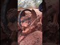 #like #shortvideo #subscribe