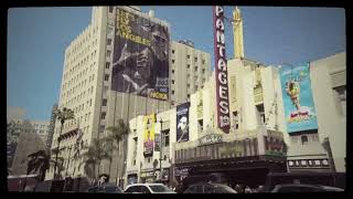 HOLLYWOOD | 1984 FILMS