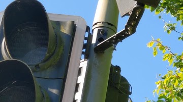 Hidden Birds nest part 1