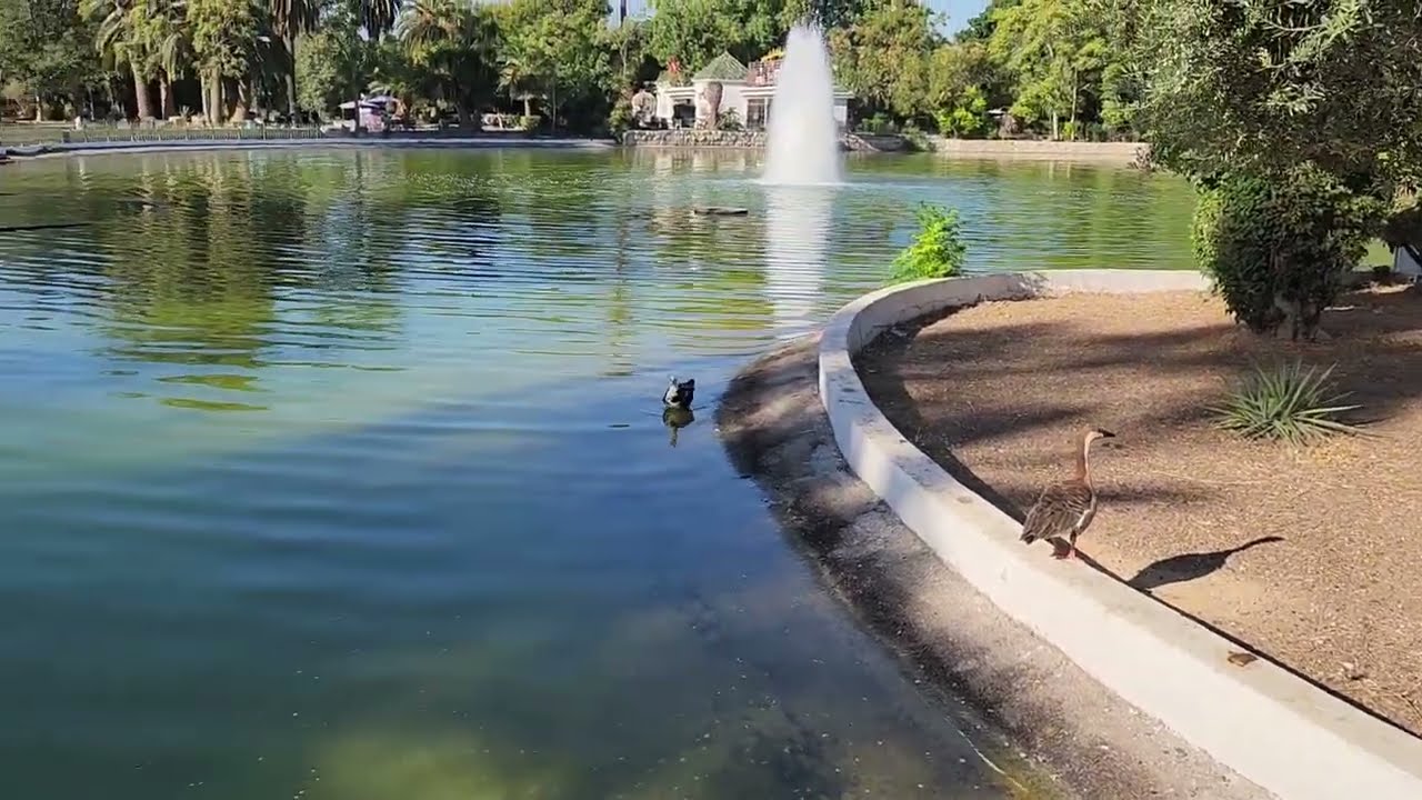 حديقة حيوانات البلفيدير بمدينة تونس