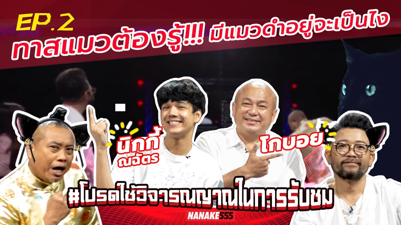 ทาสแมวต้องรู้!!! มีแมวดำอยู่จะเป็นไง | #โปรดใช้วิจารณญาณในการรับชม