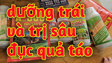 Hd515.Trị sâu đục quả táo