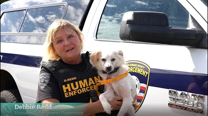 Giving Tuesday  Debbie Redd (Humane Enforcement)