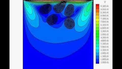 5 Soft hyperelastic disks in lid-driven cavity flow