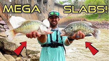 Fishing For MEGA SLAB CRAPPIE at HUGE SPILLWAY! + {Catch Clean Cook!} Delicious SPICY Fish!