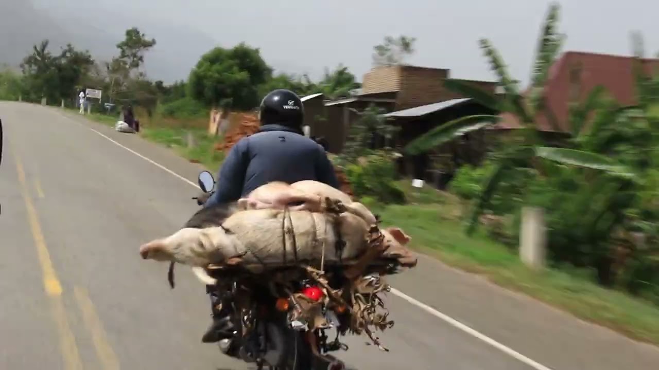 BUNDIBUGYO-BWAMBA ROAD