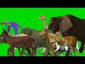 3D Animal stampede green screen random compilation video! #cartoon #animations #stampede #animals