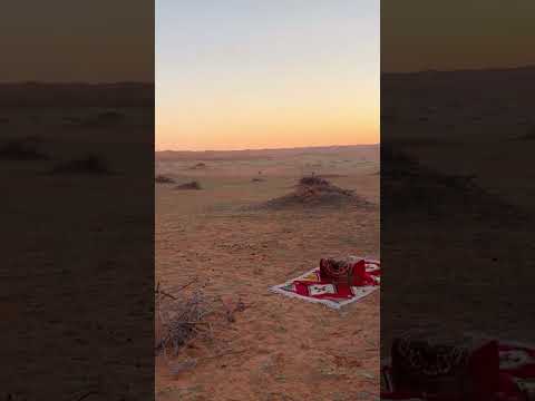 لو الشتاء من توالي ليله يدين    اكسبلور شعر جزل القصيد تصويري ترند لايك تيك توك