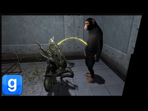 Bobo's Big Dream (Garry's Mod | Alien RP)