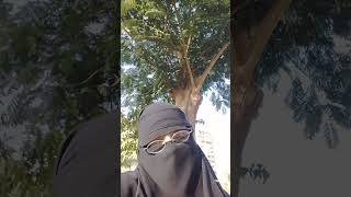 علام يدل الضحك اثناء الرقيه،؟،@youtube_manar_emara_2780