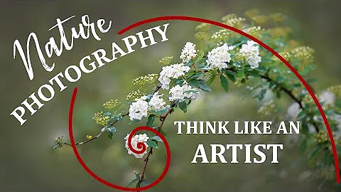 Your Camera is in the Hands of an Artist | Close-up and Macro Photography Tips - DayDayNews