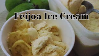 How To Make Easy, Creamy Feijoa Ice Cream