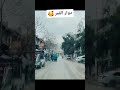 حلب دوار القمر 