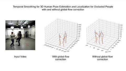 Stabilization of multi-person 3d human pose estimation using global flow (TS1)