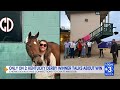 First woman trainer to win Kentucky Derby has Chattanooga ties