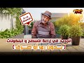 طرق جديدة للحفاظ على الأسطح وتوفير الري وعدم الصرف مع زيادة الإنتاج