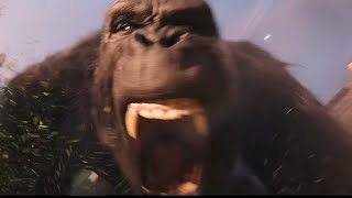 Ted Fight With Neighbors Godzilla Vs. Kong Edition