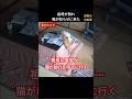 【猫が祖母を救助】室内カメラが一部始終を録画していた #保護猫 #泣ける話 #猫
