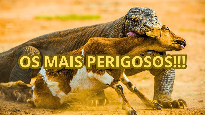 Os 10 Animais Mais Perigosos do Mundo! 🐍🦈