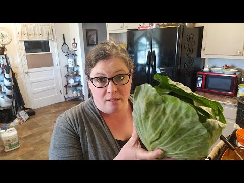 Video: Can I Regrow Cabbage In Water: How To Grow Cabbage From Kitchen Scraps