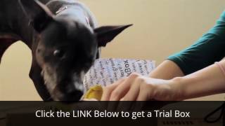 Barkbox Reviews - Subscription Box for Dogs