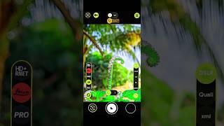 Lmc8.4 Premium DSLR Quality | Best Pro XML File for Stunning Photos! #gcam #lmc8_4 #photographytips