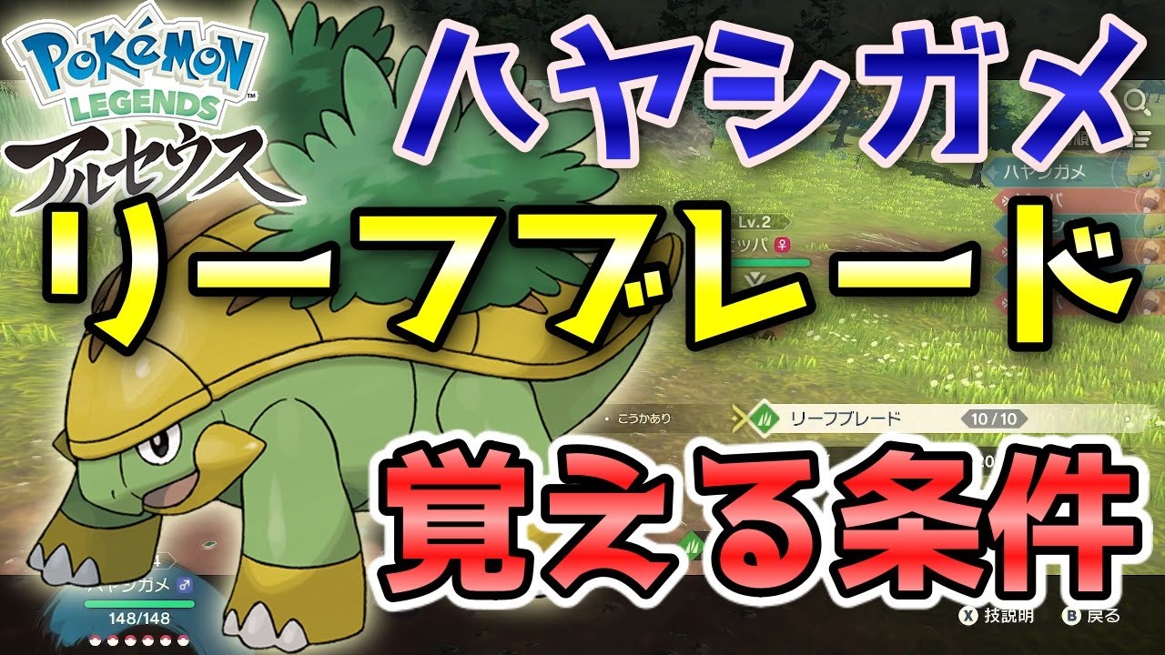 アルセウス ハヤシガメ リーフブレード 覚える条件 図鑑埋めに最適 ポケモン レジェンズ Youtube アルセウス ハヤシガメ リーフブレード 覚える条件 図鑑埋めに最適 ポケモン レジェンズ Youtube