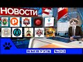 ВК новости: солдатики и фигурки. Выпуск 23