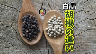 白胡椒と黒胡椒の違いは何？ 　◆知っ得◆雑学