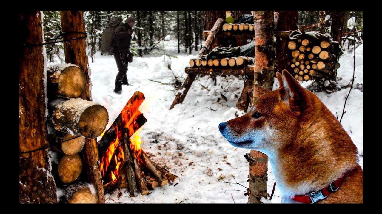 24 часа в лесу с рыжим зверем - базовый лагерь, рефлектор, еда на углях, бушкрафт