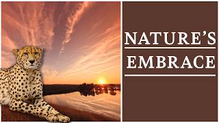Celebrity Finding Hope - 1 Hour of Peaceful Piano & Violin with 4K Nature Scenes Wealth