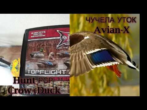 Чучела уток Avian-X