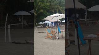 Sweet Flowers Massage By Rosa The Best massage Ever Sayulita Nay.
