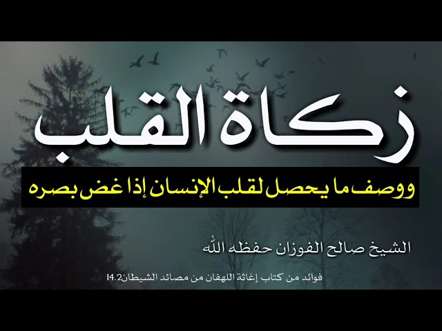 زكاة القلب ووصف ما يحصل لقلب الإنسان إذا غض بصره تعليق الشيخ صالح الفوزان على كلام ابن القيم