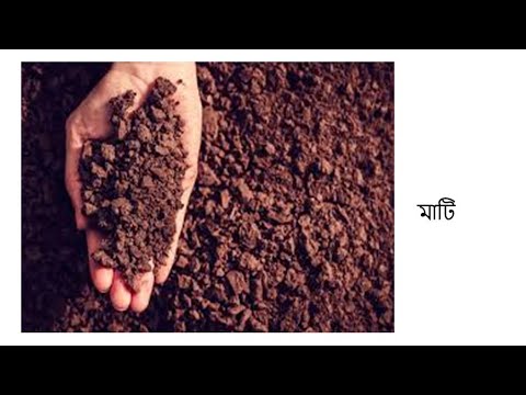 মাটি-সংজ্ঞা,প্রকারভেদ,উপাদানসমূহ (Soil- Definition,types & components)