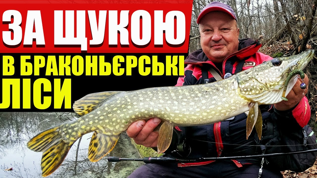 ТРИ приманки на ЩУКУ, які закриють всі питання восени! Щука на Crazy Fish Contact CSR802MT