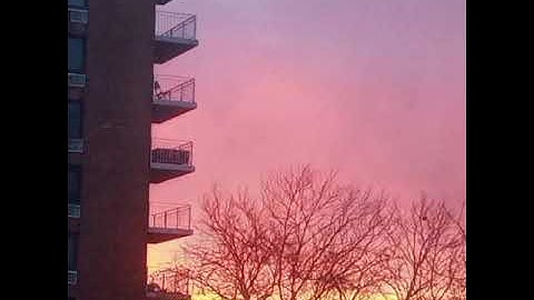 MrMayor SoWavy  - CrocodileTeeth / Do my thing snippet