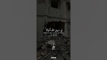 تلاوة خاشعة للشيخ أحمد سامح | ما تيسر من سورة آل عمران #روعة_القرآن #الشيخ_أحمد_سامح #تلاوة_نادرة