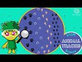 Animal Tracks Quiz