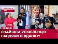 🐾 Історії врятованих тварин, яких взяли до родин завдяки Сніданку з 1+1