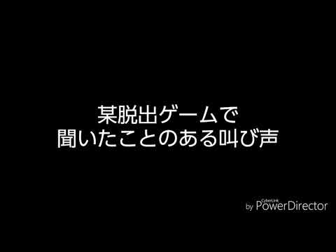 【音量注意】どこかで聞いたことのある女性の叫び声
