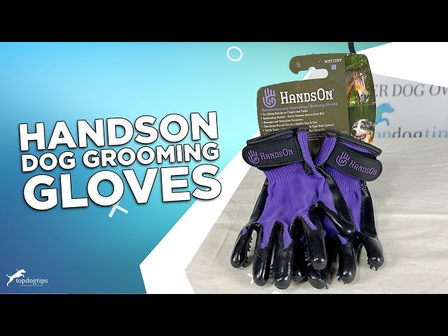 Review: HandsOn Pet Grooming Gloves 