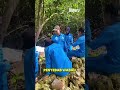 Misteri Pulau Imam yang Tak Terpecahkan Sampai Sekarang!