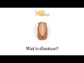 Wat is diastase?