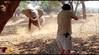 Angry Elephant Charges at Safari Guests On Foot!!! | Kruger National Park