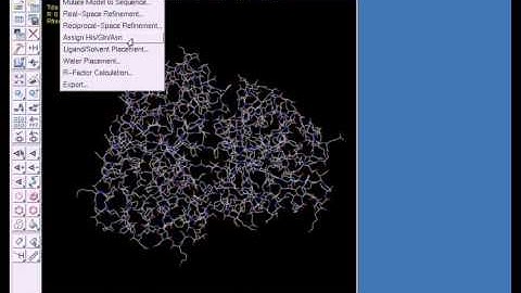 Assigning histidine, glutamine, and asparagine residue states