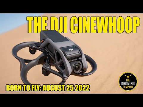 DJI Avata: Born to Fly | August 25, 2022 - YouTube