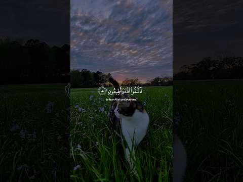 اكتب شيء تؤجر عليه