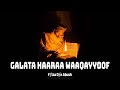 Galata Haaraa Waaqayyoof Laannaa F T D N Abush New Oromoo Orthodox Mezmur Lyrics 